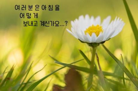 2.jpg 이미지