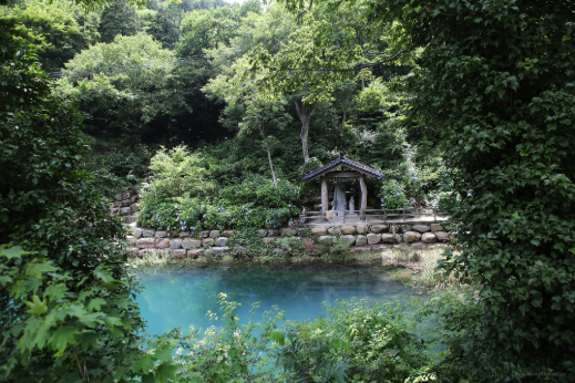 img (10).png 이미지