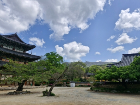 KakaoTalk_20250421_135234600_02.jpg 이미지