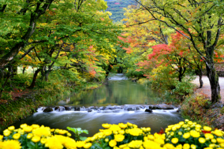KakaoTalk_20250831_100953863.png 이미지