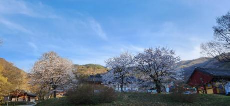 KakaoTalk_20250408_180049697_04.jpg 이미지