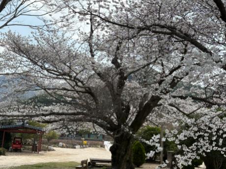 IMG_7663.jpg 이미지