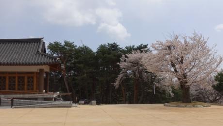 DSC05292.JPG 이미지