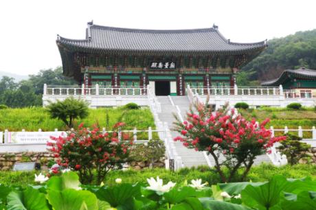 IMG_0058 copy.jpg 이미지
