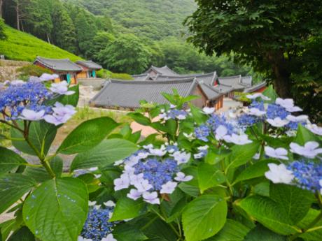 KakaoTalk_20240808_093955474_01.jpg 이미지