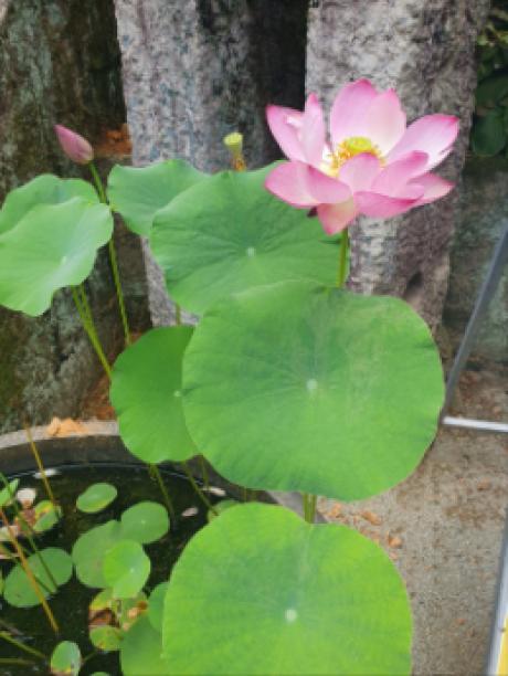 KakaoTalk_20250608_141956316_01.jpg 이미지