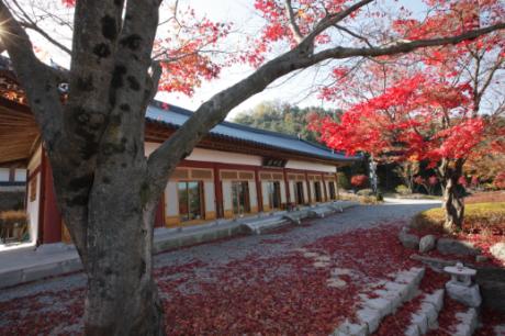 4R8I2491.JPG 이미지