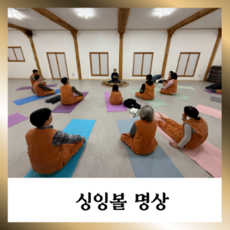 250919 싱잉볼.png 이미지