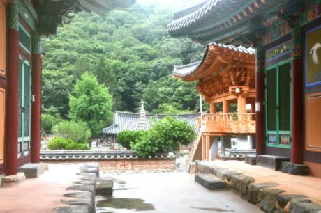 1755583227813.jpg 이미지