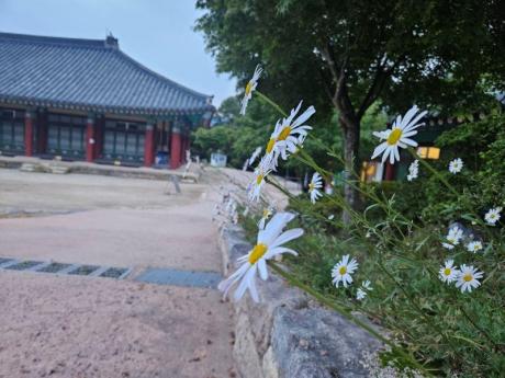 KakaoTalk_20250928_135905492_15.jpg 이미지