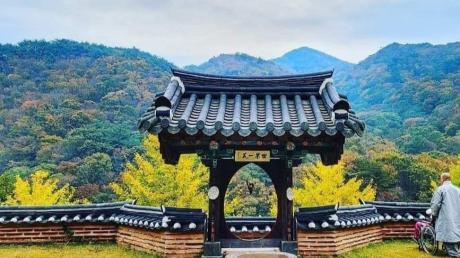 image05.jpg 이미지